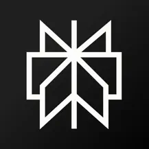 Perplexity APP